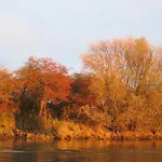 De Biesbosch - In 't Riet *