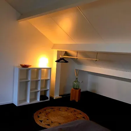 Bed & Breakfast De Biesbosch - In 't Riet