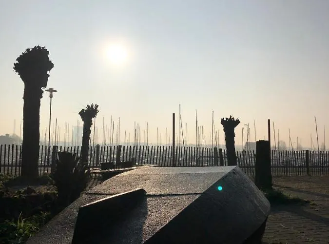 De Biesbosch - In 't Riet * Drimmelen