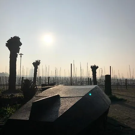 De Biesbosch - In 't Riet * دريميلين