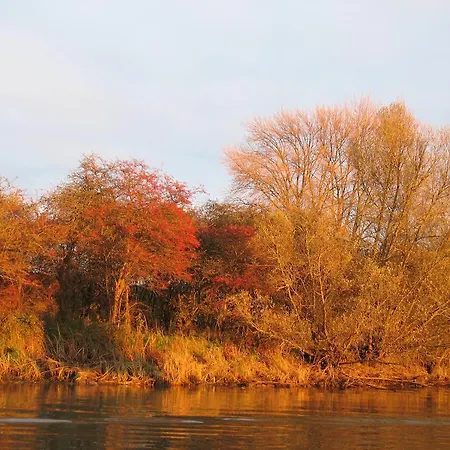 De Biesbosch - In 't Riet *