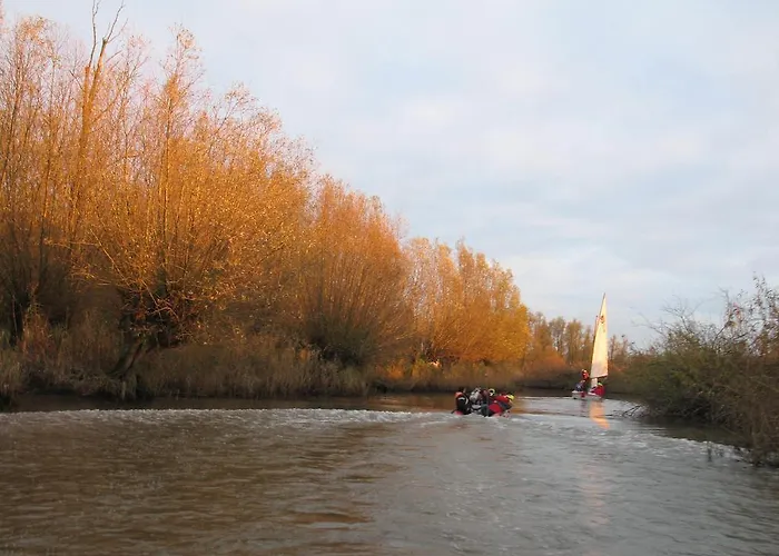 De Biesbosch - In 't Riet Bed and Breakfast Drimmelen
