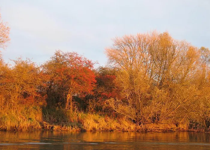 De Biesbosch - In 't Riet *